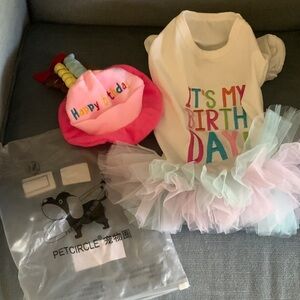 Birthday Dog Outfit - White and Pink